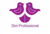Divi Professional Coupon Codes