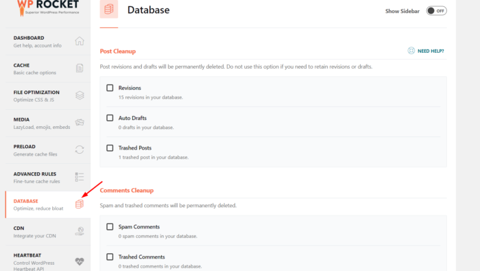 WP Rocket Review: Is It the Perfect Solution for WordPress Caching? 6 database optimization